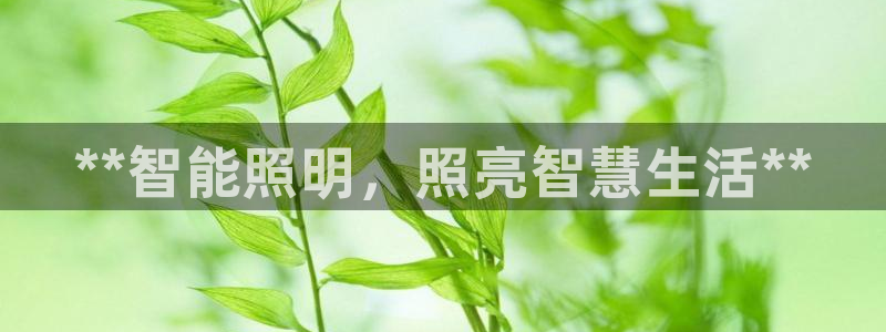 云顶国际测试服免费