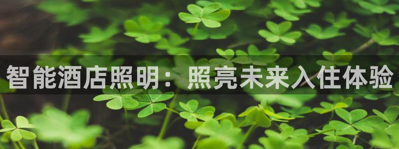 云顶集团专属app