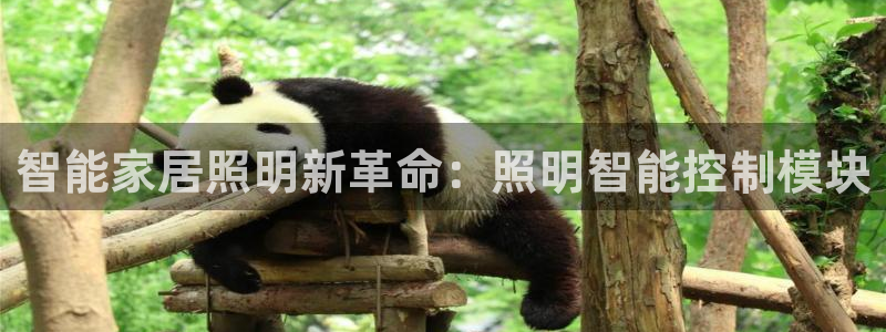 云顶集团3118acm