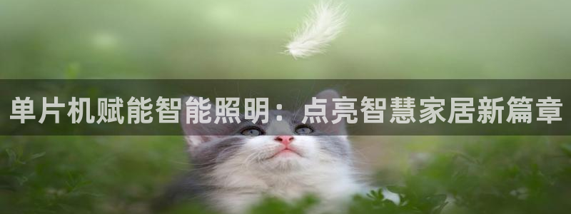 云顶集团林志华简介