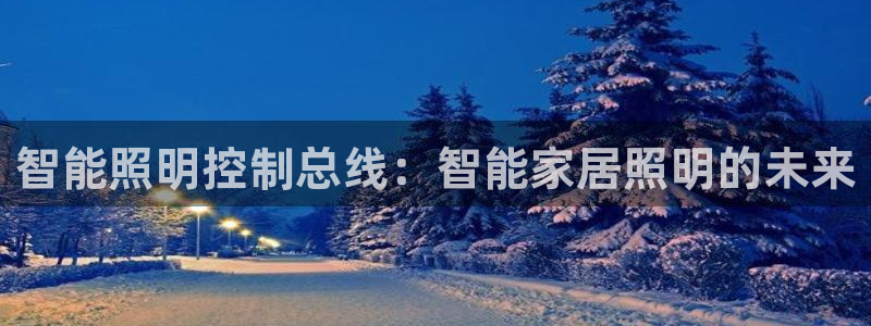 云顶国际高中d s e班学费多少