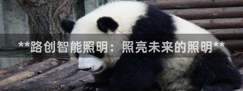 云顶国际网站2713366