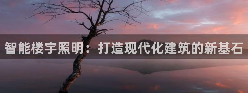 云顶集团3118app功能