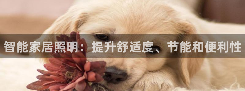 云顶国际提款不到账怎么回事