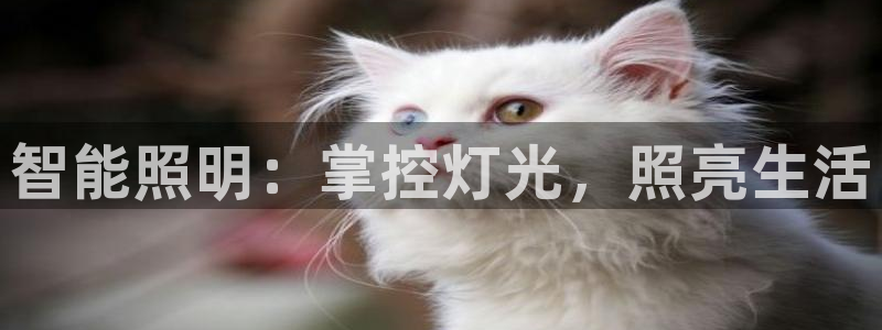 云顶国际服更新时间是多久