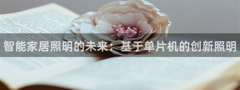 云顶国际网站能玩吗