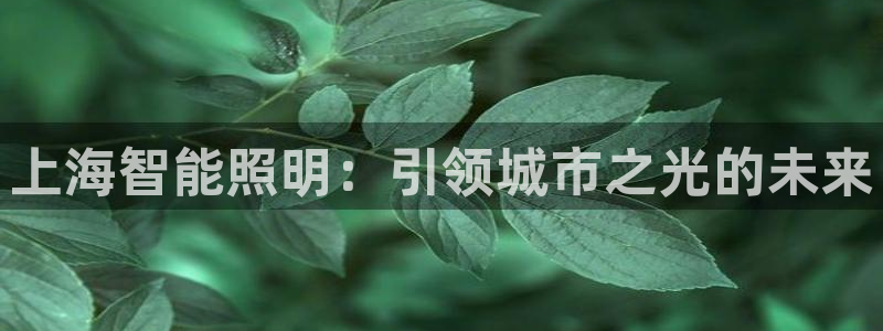 云顶国际停车费多少钱