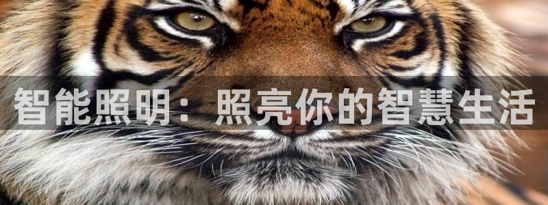 云顶国际平台送彩金58