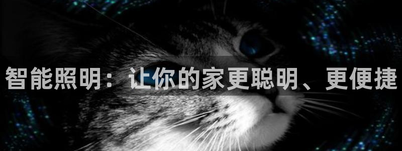 云顶集团app免费下载安卓