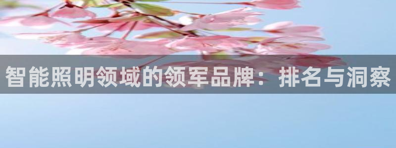 云顶国际音乐会所怎么样