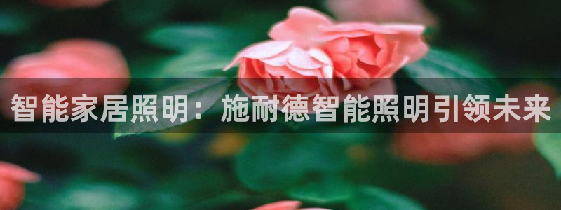 云顶国际app官方网站下载安装
