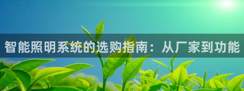 云顶国际前台电话号码