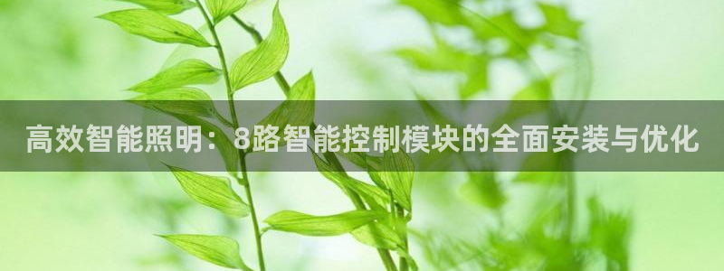 云顶控股集团有限公司