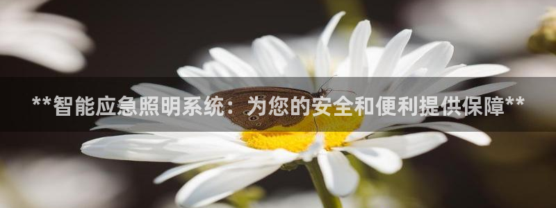 云顶国际公馆在哪