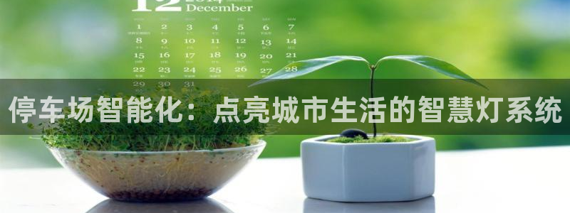 云顶国际投资有限公司