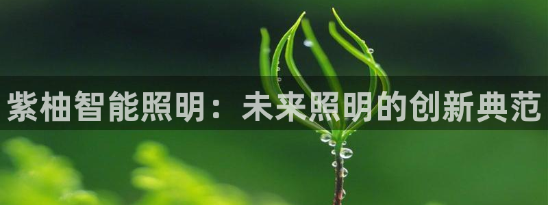云顶国际大酒店停车场收费