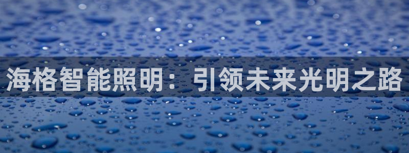 云顶国际缆车起点在哪里啊：海格智能照明：