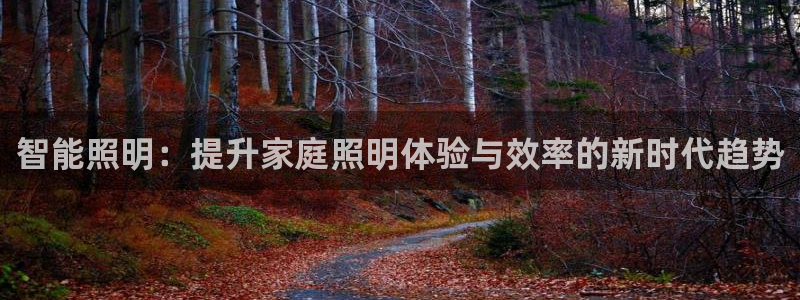 云顶国际网上平台：智能照明：提升家庭照明