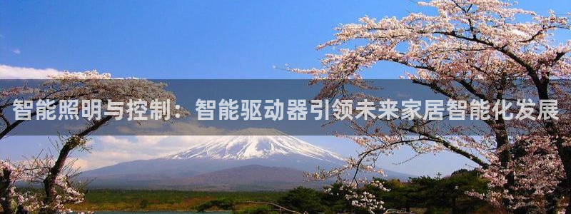 云顶国际足球app下载