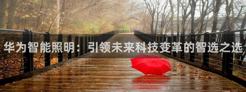 云顶国际服s6：华为智能照明：引领未来科