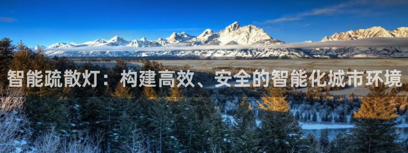 云顶最新t1：智能疏散灯：构建高效、安全