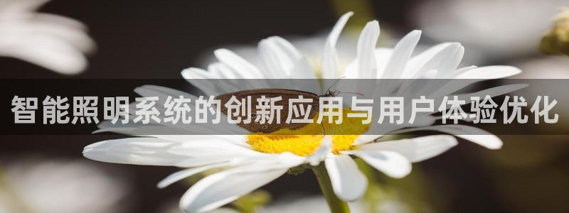 云顶国际大酒店招聘信息