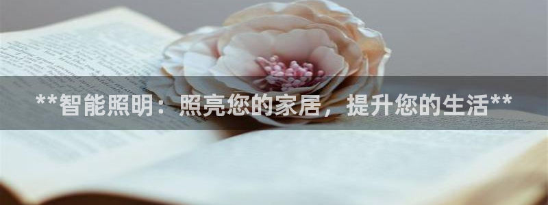 云顶电子游戏网站