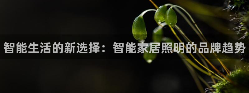 云顶国际商业广场