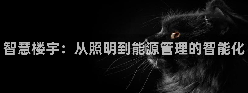 云顶集团官网电话是多少