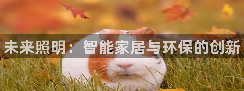 云顶国际app免费下载安卓