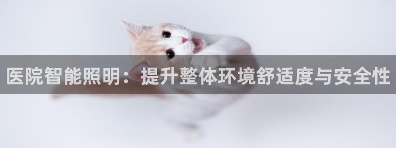 云顶国际部HKDSE