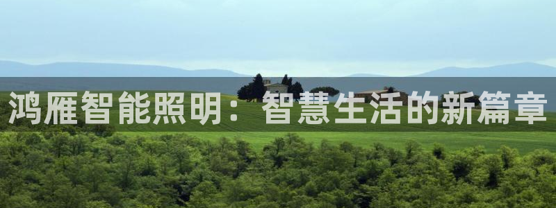 云顶国际版下载