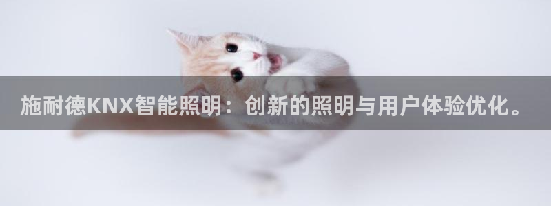 云顶国际服版本