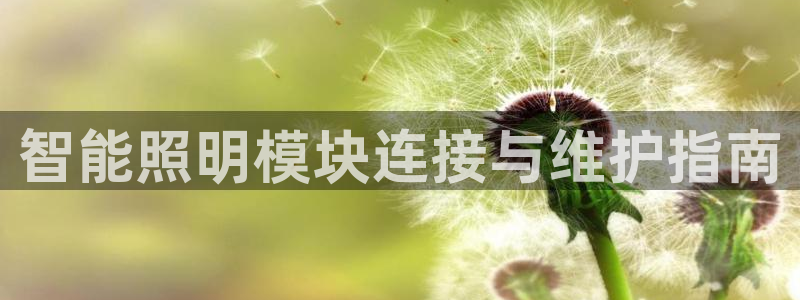 云顶国际宴会中心地址