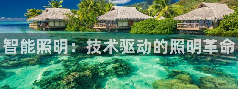 云顶国际在线购彩