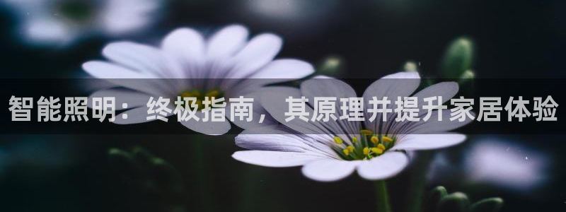 云顶集团游戏app是合法的吗