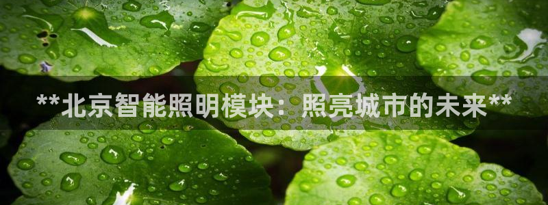 云顶国际app官网下载