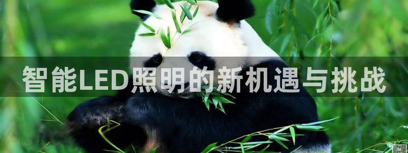 云顶国际实业有限公司