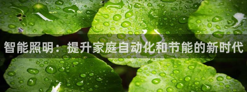 云顶线上赌博