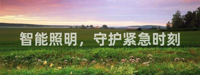 云顶app官网