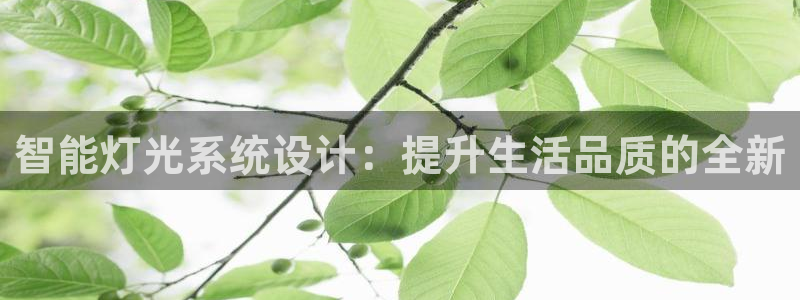 云顶集团网投领